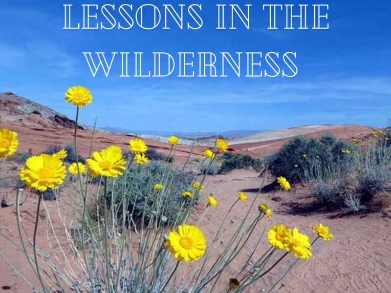 Lessons in the&nbsp;Wilderness