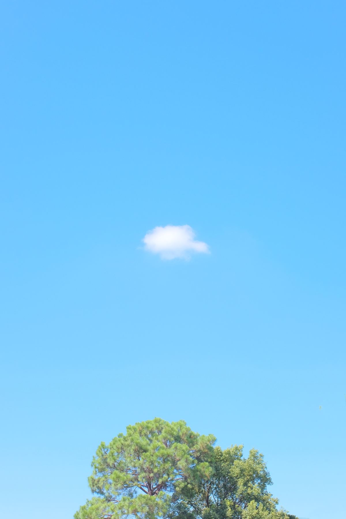 Don’t Stop Believing