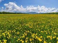 How Big IS&nbsp;God?